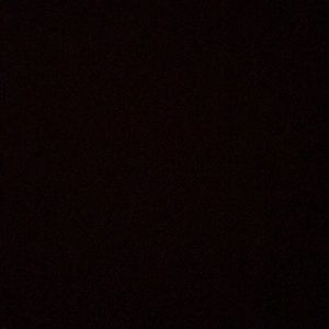 Meet your Posher, Basilia